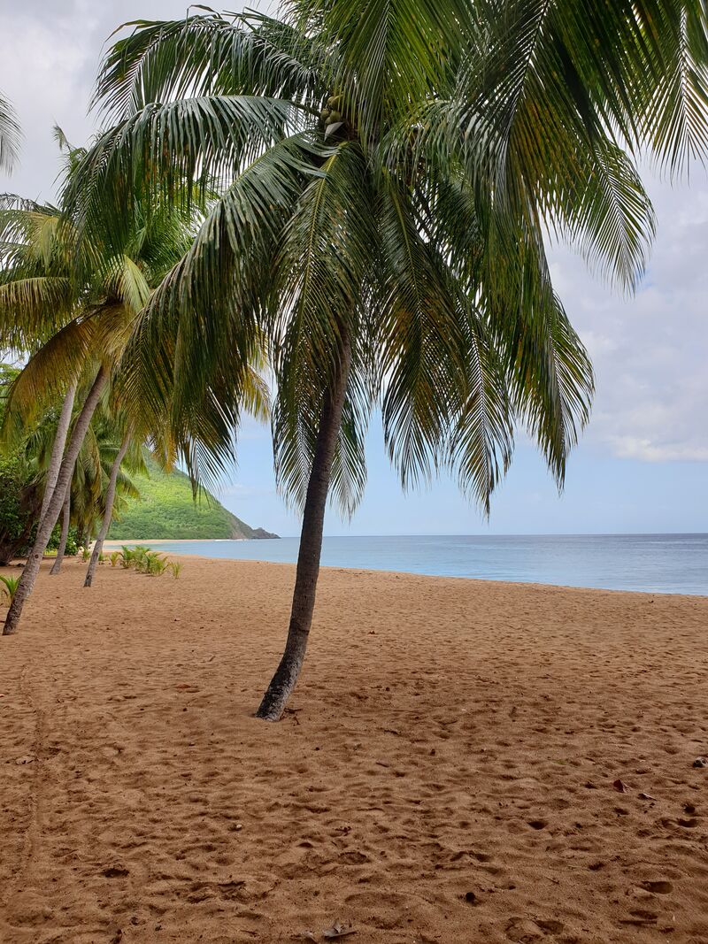 Plage de Grande-Anse à proximité du Caraïb'Bay Hôtel