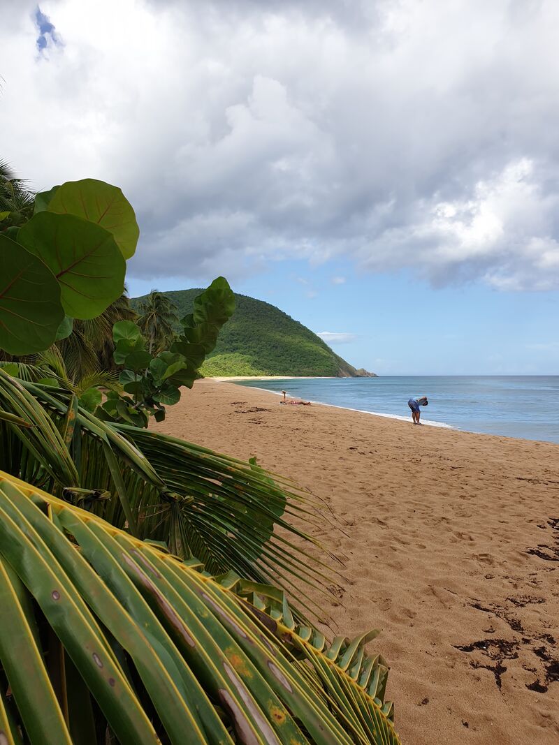 Plage de Grande-Anse à proximité du Caraïb'Bay Hôtel