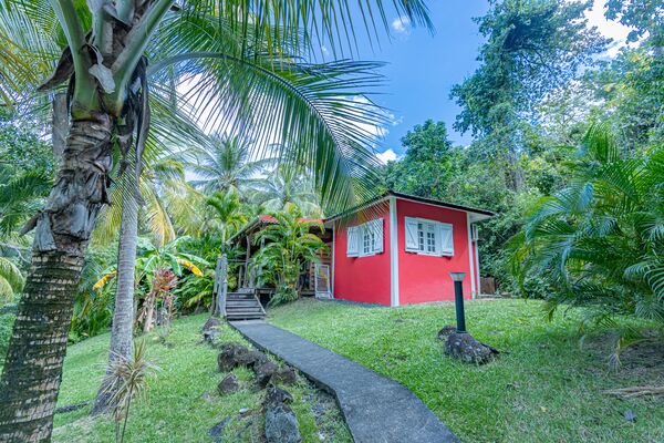 Vue extérieure à travers la végétation d'une villa du Caraïb'Bay Hôtel