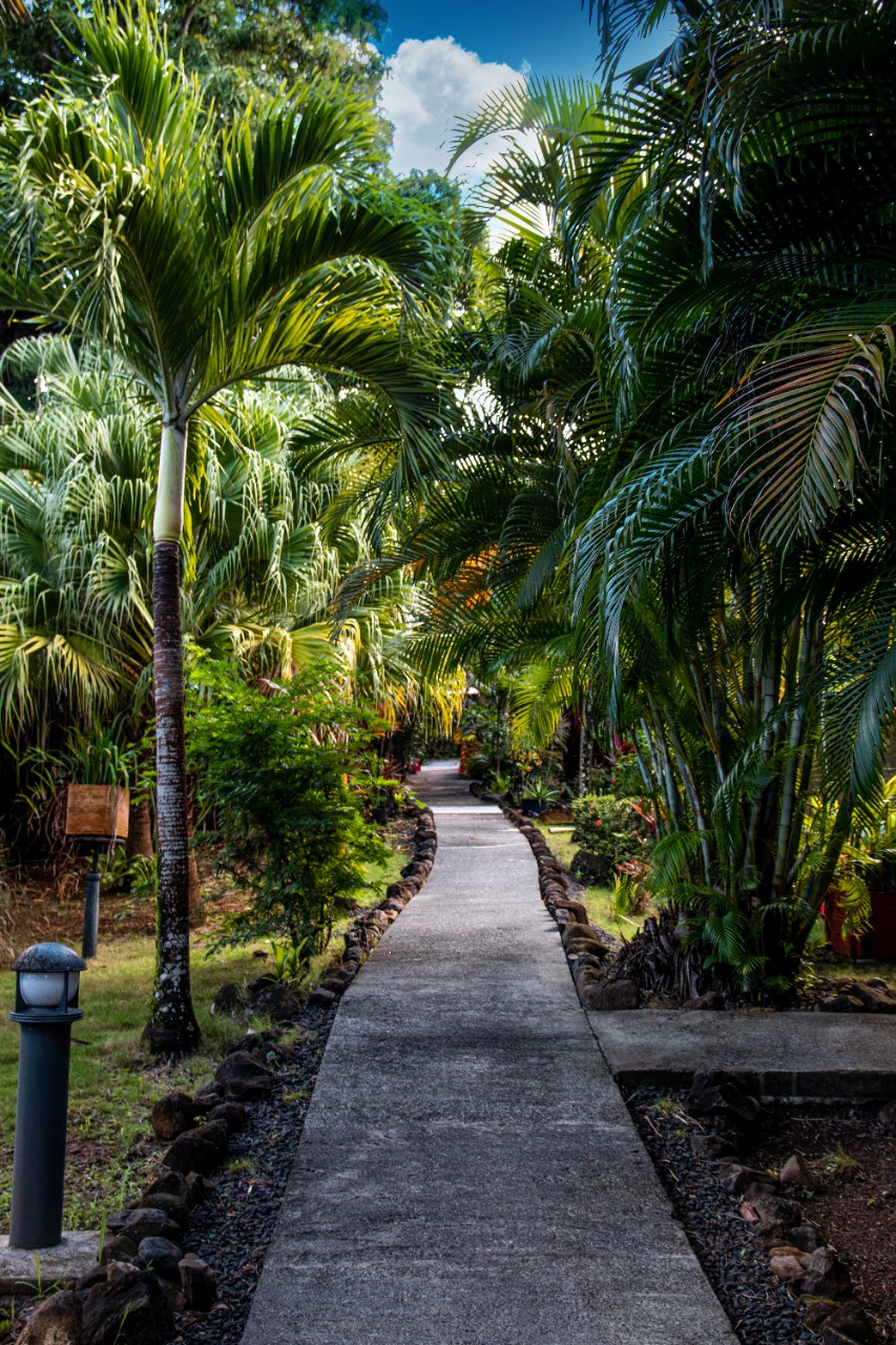 chemin du Caraïb'bay Hôtel