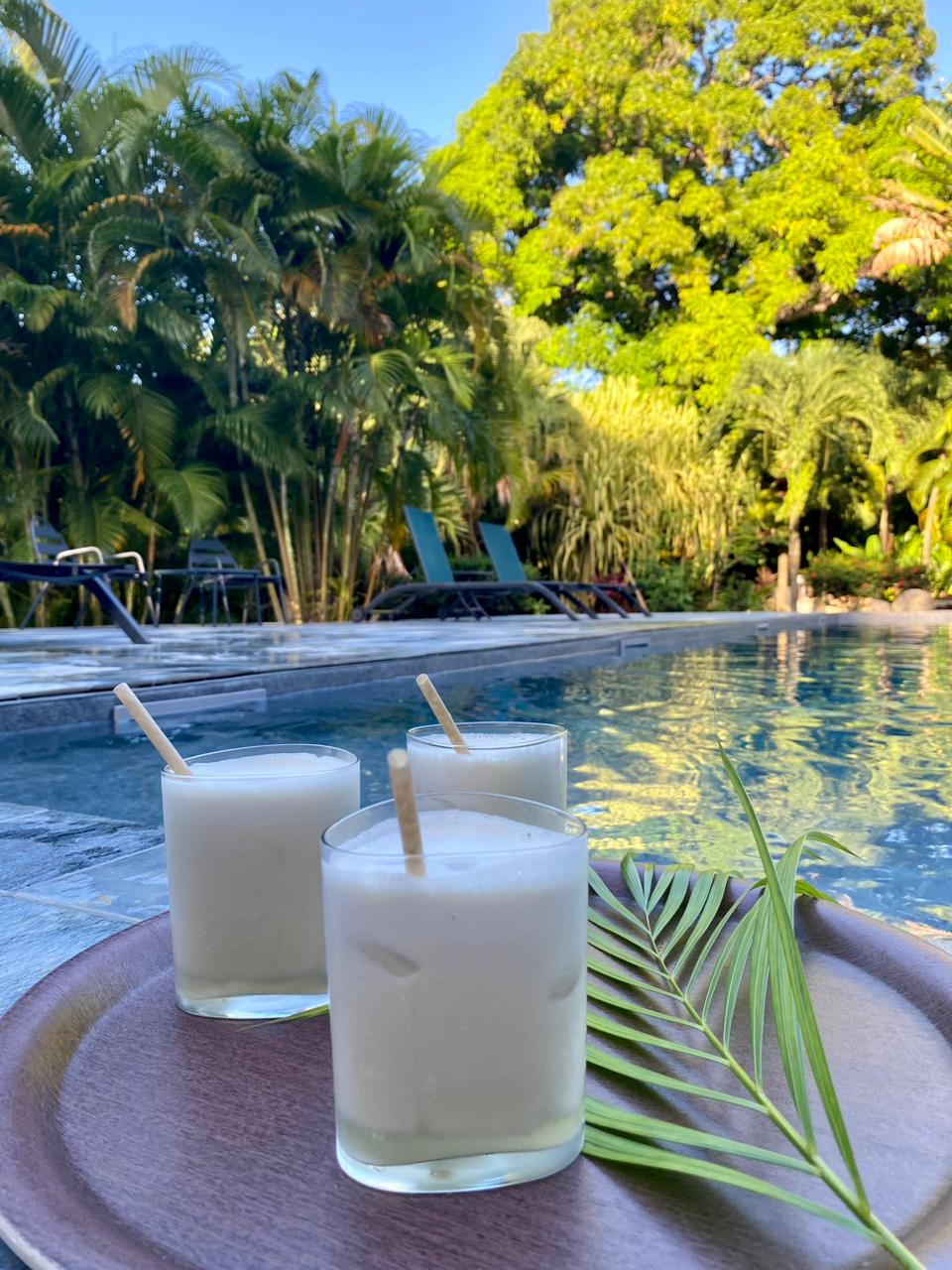 parc tropical du Caraïb'Bay Hôtel et vue sur la piscine