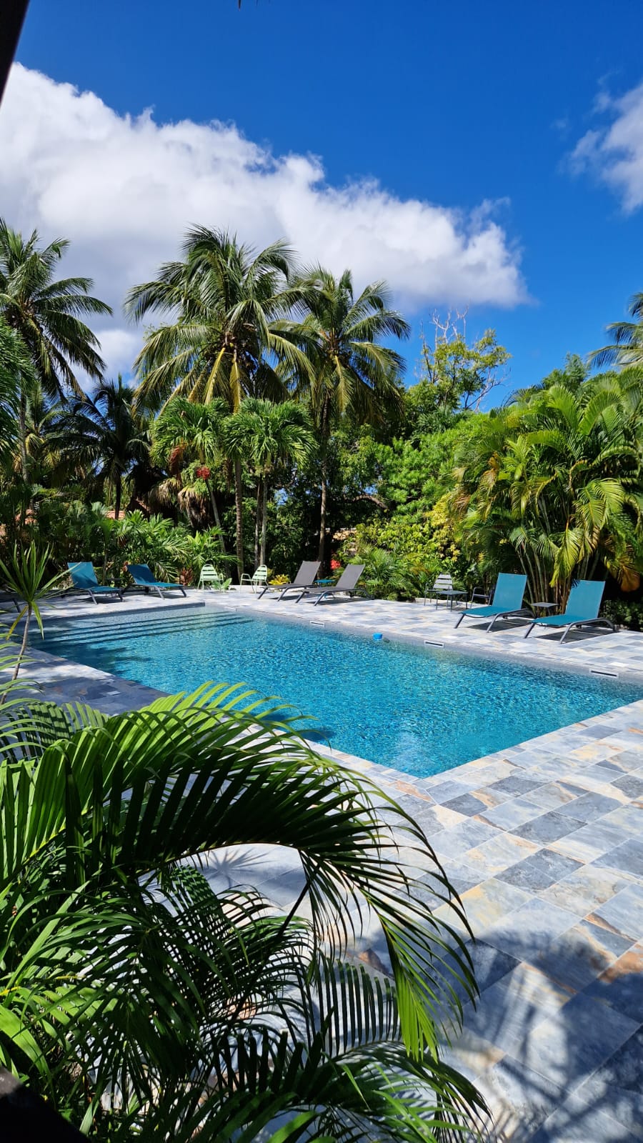 piscine Caraïb'Bay Hôtel en Guadeloupe