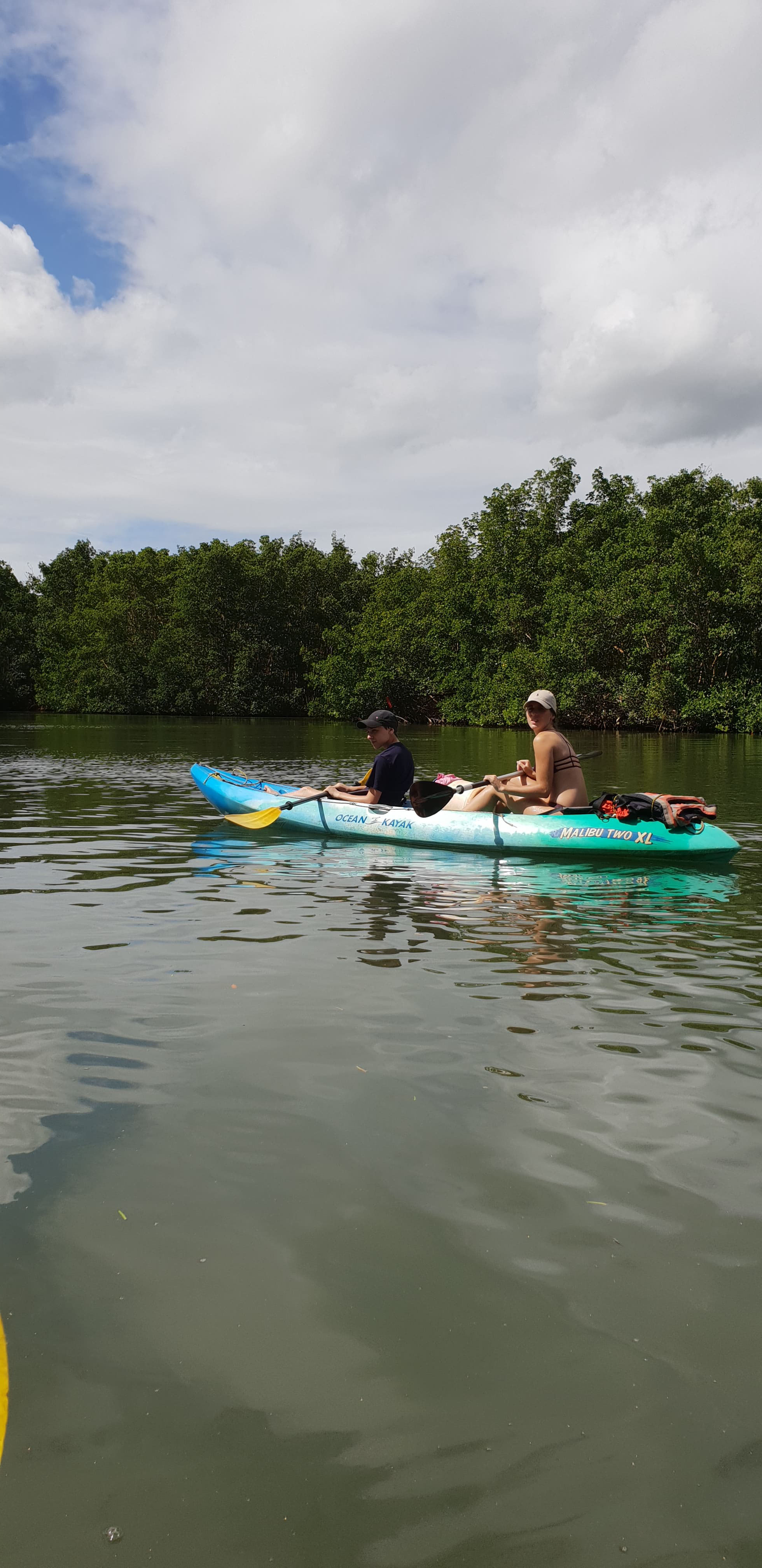 kayaking dans la mangrove en Guadeloupe