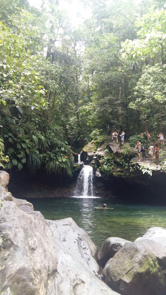 cascade, forêt et rivière en Guadeloupe