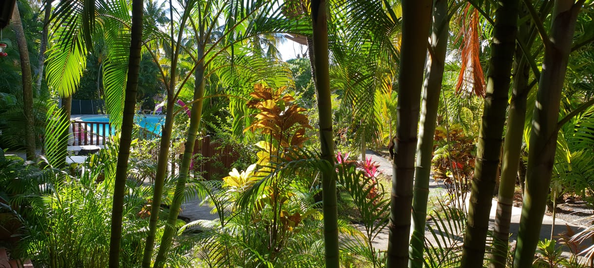 vue du parc Caraïb'Bay Hôtel