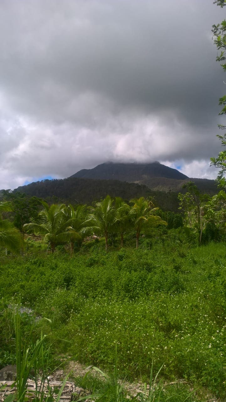 vue en contrebas du volcan de la Soufrière