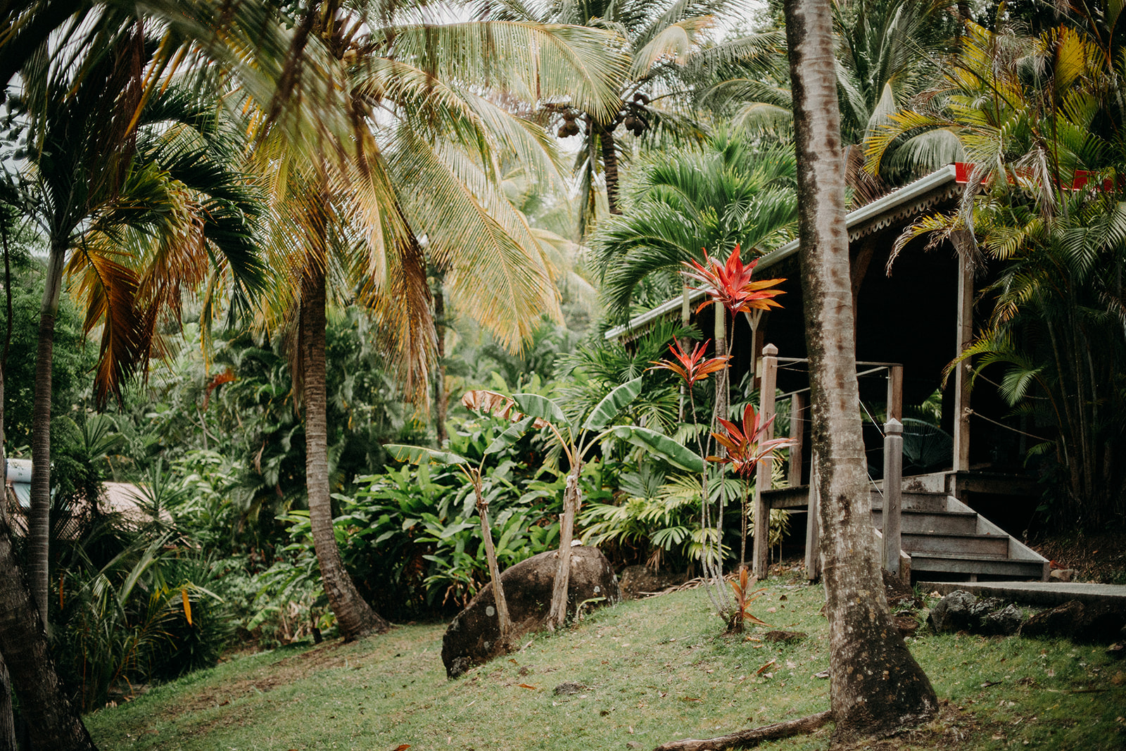 Caraïb'Bay Hôtel - Villa Kariakou dans le parc tropical